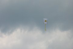 img_2842