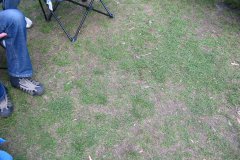 img_6203
