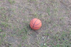 img_0083