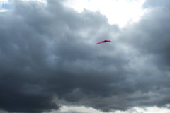 sdc10247