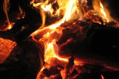 Sommerfest_2011-195