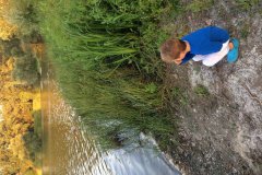sommerfest_201853