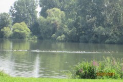 IMG_6937