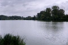 IMG_3240