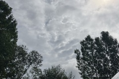 IMG_3256