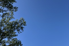 IMG_3370
