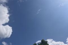 Sommerfest_2025_049